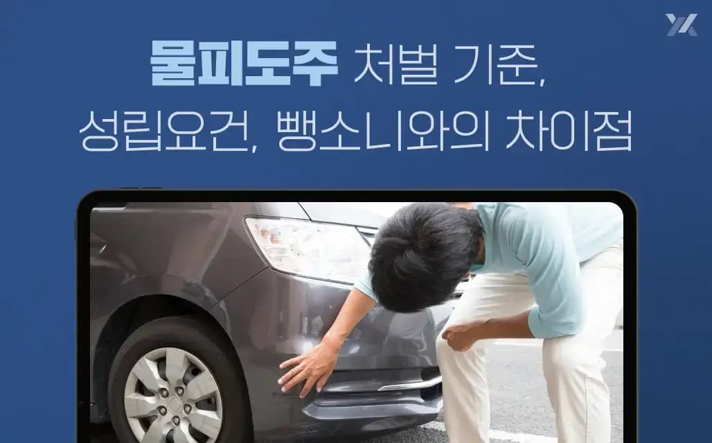 물피도주 처벌 기준, 성립요건, 뺑소니와의 차이점
